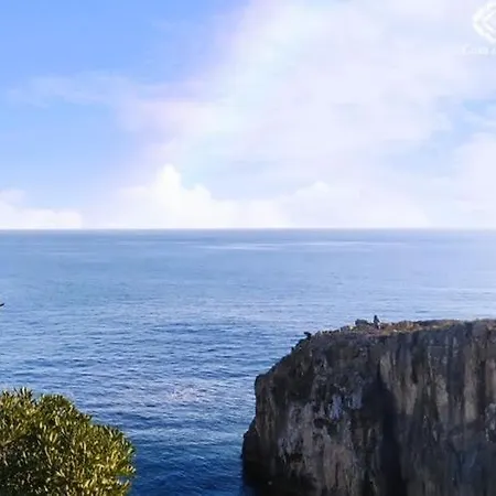 Guia Opportunity カスカイス